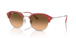 Ray-Ban 4429 - 67223B RED ON SILVER pink/black