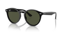 Ray-Ban RB 7680S LARRY - 901/31 BLACK green