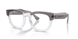 Ray-Ban RX 0298V MEGA HAWKEYE - 8111 GREY ON TRANSPARENT