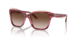 Emporio Armani EA 4209 - 605713 SHINY BORDEAUX/TOP LIGHT BROWN gradient brown