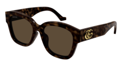 Gucci GG 1550SK - 002 HAVANA brown