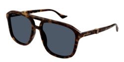 Gucci GG 1494S - 002 HAVANA blue