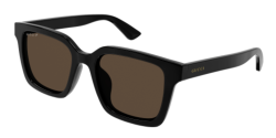 Gucci GG 1582SK - 004 BLACK brown polar