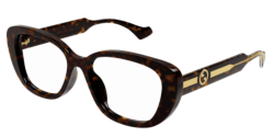 Gucci GG 1559OK - 002 HAVANA