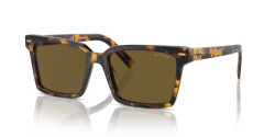 Miu Miu MU 13ZS - VAU01T HONEY HAVANA dark brown