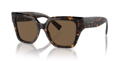 Dolce&Gabbana DG 4471 - 502/73 HAVANA dark brown