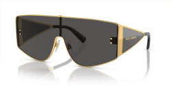 Dolce&Gabbana DG 2305 - 02/87 GOLD dark grey