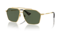 Dolce&Gabbana DG 2303 - 02/9A GOLD dark green polarized