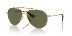 Dolce&Gabbana DG 2302 - 02/58 GOLD polarized green