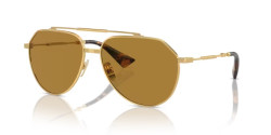 Dolce&Gabbana DG 2302 - 02/53 GOLD brown