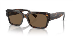 Dolce&Gabbana DG 4460 - 502/73 HAVANA dark brown