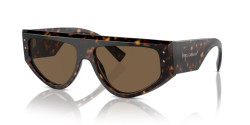 Dolce&Gabbana DG 4461 - 502/73 HAVANA dark brown