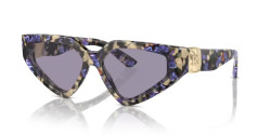 Dolce&Gabbana DG 4469 - 3439/1 HAVANA BLUE PEARL grey