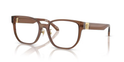 Versace VE 3360D - 5028 TRANSPARENT DARK BROWN