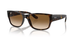 Ray-Ban RB 4388 - 710/51 HAVANA  clear & brown