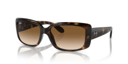 Ray-Ban RB 4389 - 710/51 HAVANA clear brown