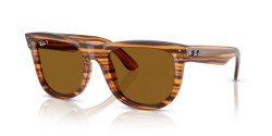 Ray-Ban RBR 0502S WAYFARER REVERSE - 679183 STRIPED HAVANA polarized dark brown