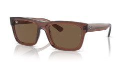 Ray-Ban 4396 WARREN - 667873  TRANSPARENT BROWN dark brown