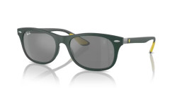 Ray-Ban RB 4607M - F6996G GREEN grey