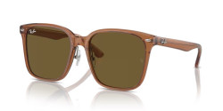 Ray-Ban RB 2206D - 663673 TRANSPARENT BROWN dark brown