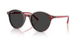 Ray-Ban RB 2230 BERNARD - 141948 TRANSPARENT SHADE FANTASY RED polarized polar black