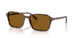 Ray-Ban RB 2231 RAIMOND - 141833 TRANSPARENT FANTASY BROWN b-15 brown