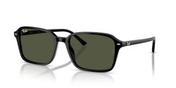 Ray-Ban RB 2231 RAIMOND - 901/31 BLACK g-15 green