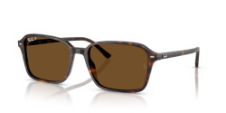 Ray-Ban RB 2231 RAIMOND - 902/57 HAVANA polarized b-15 brown