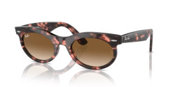 Ray-Ban RB 2242 WAYFARER OVAL - 133451 PINK HAVANA clear & brown