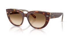 Ray-Ban RB 2286 DOREEN - 141451 LIGHT HAVANA ON TRANSPARENT MULTICOLOUR clear gradient brown