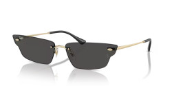 Ray-Ban RB 3731 ANH - 921387 LIGHT GOLD dark grey