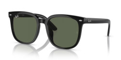 Ray-Ban RB 4401D - 601/71 BLACK dark green