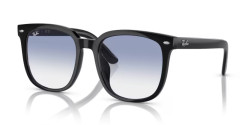 Ray-Ban RB 4401D - 601/19 BLACK blue