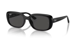 Ray-Ban RB 4421D - 667787 BLACK dark grey