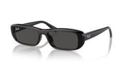 Ray-Ban RB 4436D - 667787 BLACK dark grey