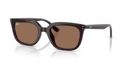 Ray-Ban RB 4439D - 623173 OPAL BROWN dark brown