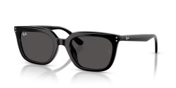 Ray-Ban RB 4439D - 901/87 BLACK dark grey