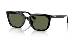 Ray-Ban RB 4439D - 901/9A BLACK polarized dark green polar