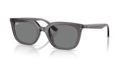 Ray-Ban RB 4439D - 667587 TRANSPARENT GREY dark grey