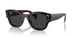 Ray-Ban RB 7681S JORGE - 902/48 HAVANA polarized black