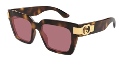 Gucci GG 1689S - 002 HAVANA violet