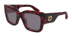 Gucci GG 1663S - 003 RED HAVANA violet