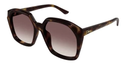 Chloe CH 0280S - 006 TORTOISE gradient red