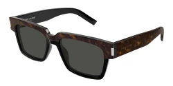 Saint Laurent SL 732 VADIM - 003 DARK HAVANA grey