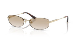 Jimmy Choo JC 4013D - 300611 PALE GOLD gradient grey