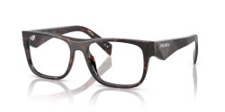 Prada PR 22ZV - 17N1O1 ROOT TORTOISE