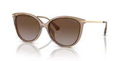 Michael Kors MK 2184U DUPONT - 3938T5 BROWN TRANSPARENT brown gradient polarized