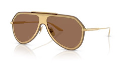 Dolce&Gabbana DG 2309 - 02/73 GOLD dark brown