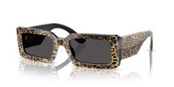 Dolce&Gabbana DG 4416 - 316387 TOP LEO ON BLACK dark grey