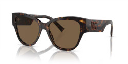 Dolce&Gabbana DG 4449 - 502/73 HAVANA dark brown